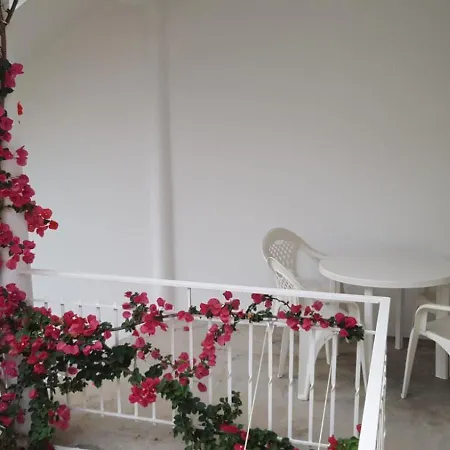 Turisticos Arosa Ogrove O Grove